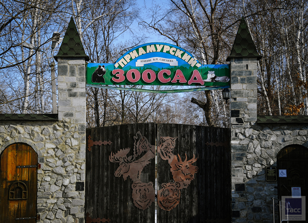 Зоосад хабаровск фото Зоосад "Приамурский" им. В.П. Сысоева